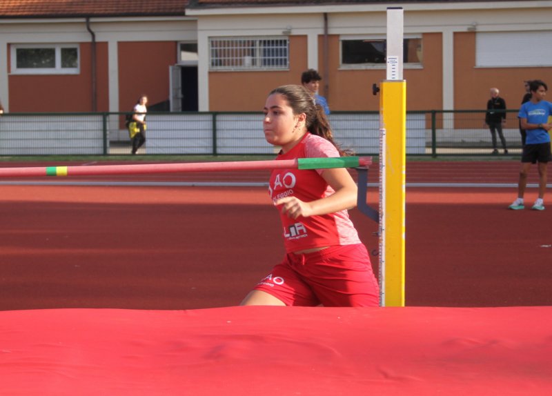 img_1231.jpg
