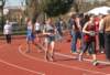 img_6392_small.jpg